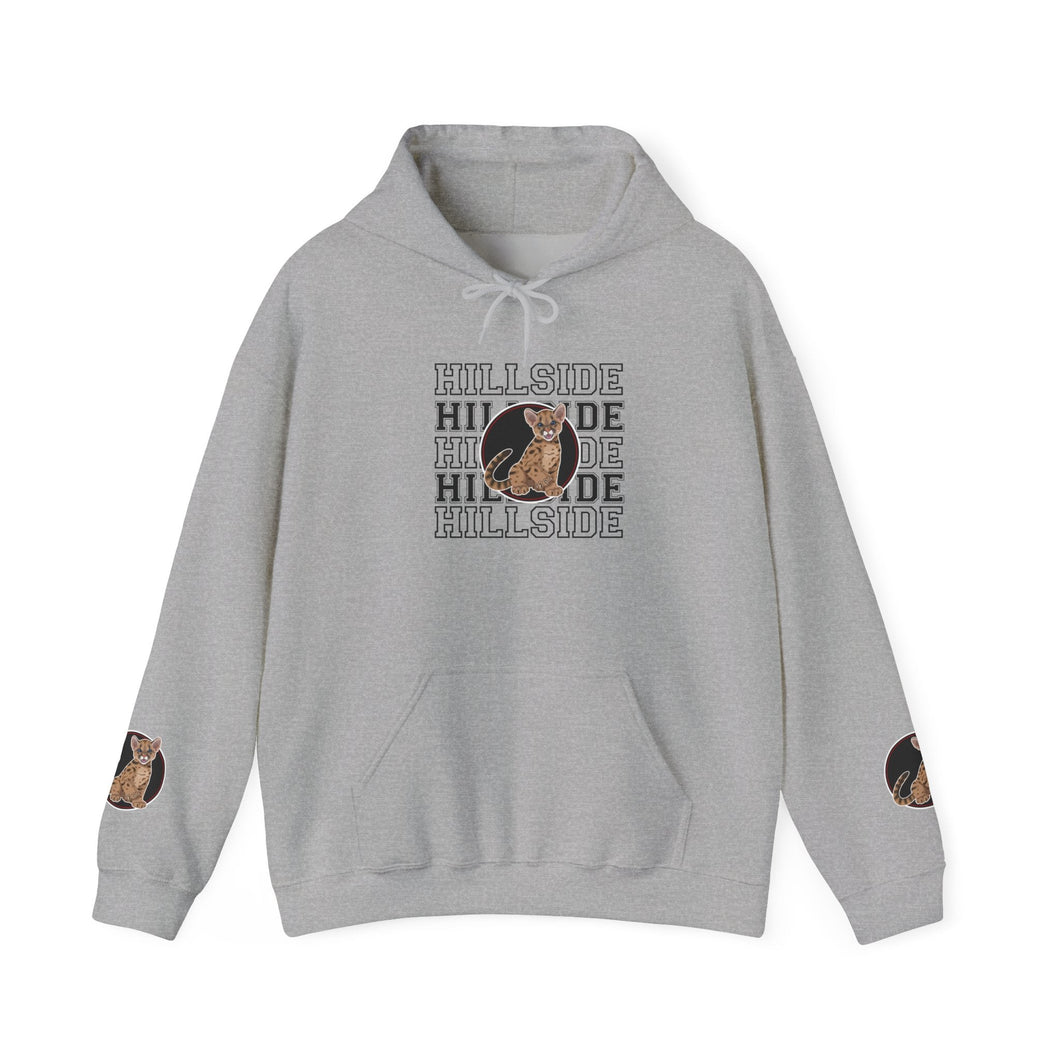 Adult Unisex Heavy Blend™ Hooded Sweatshirt Printify